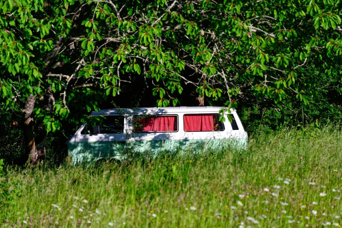 BookNoFees Beispielbild: Weißer Campingbus mit roten Vorhängen auf einer grünen Wiese