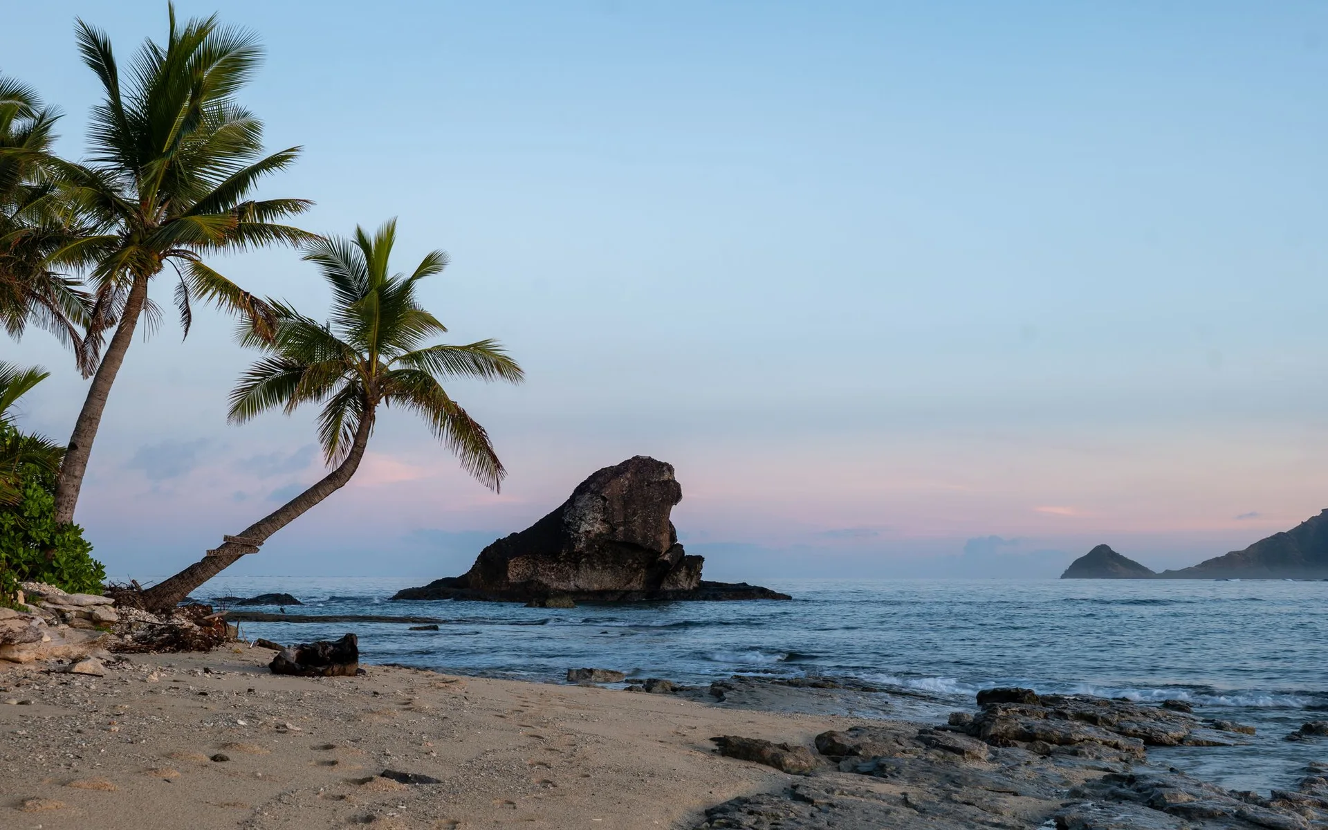 Palmen am Strand von Kuata Island bei Sonnenaufgang