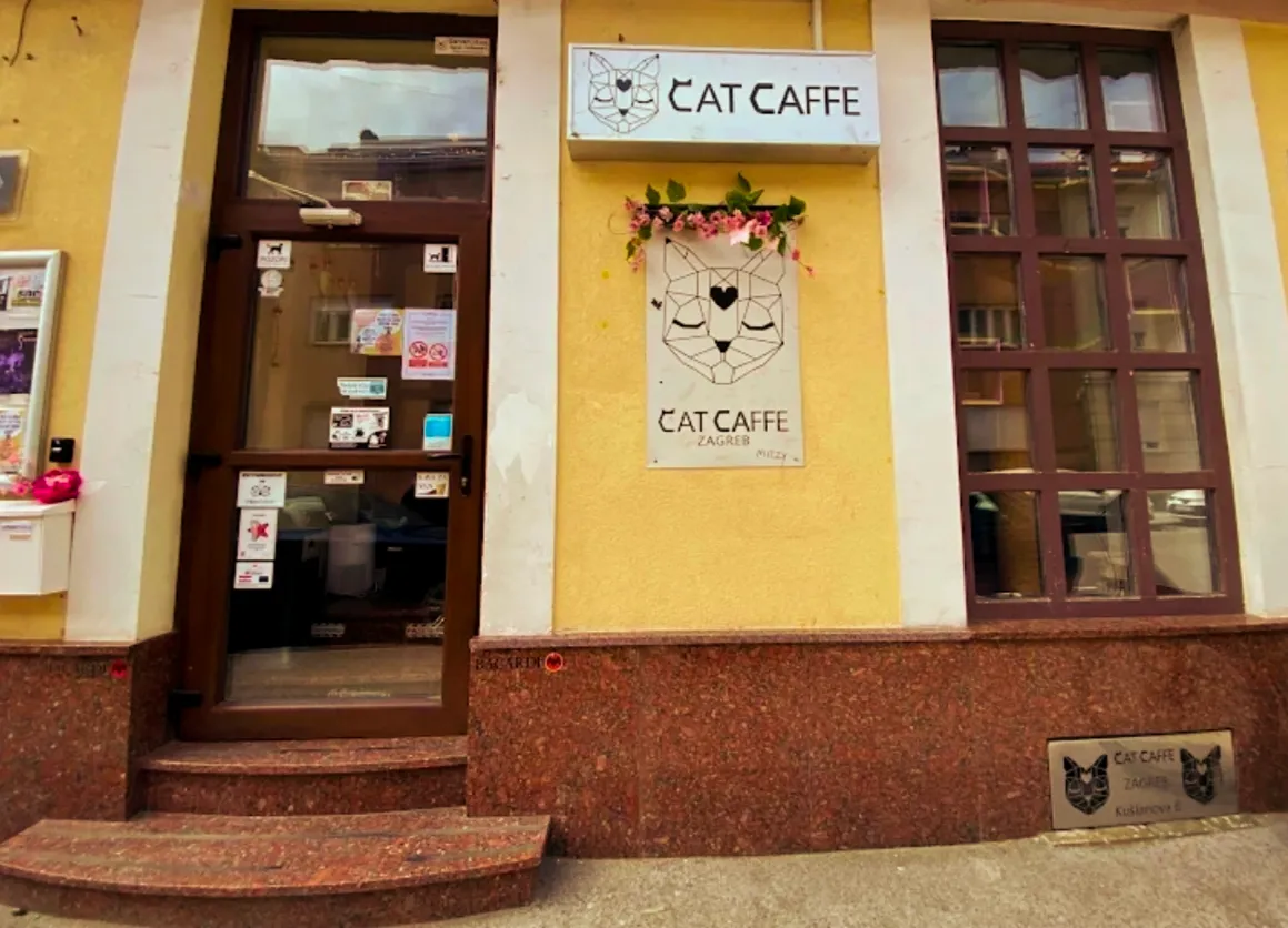 BookNoFees: Café – Cat Caffe – Zagreb – Cat Caffe, Foto 1