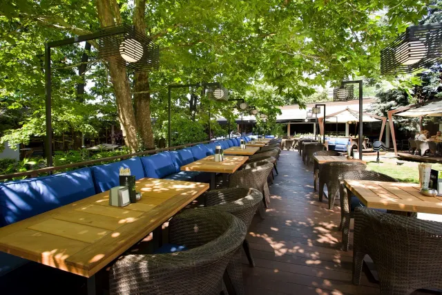 BookNoFees: Umami, Sofia