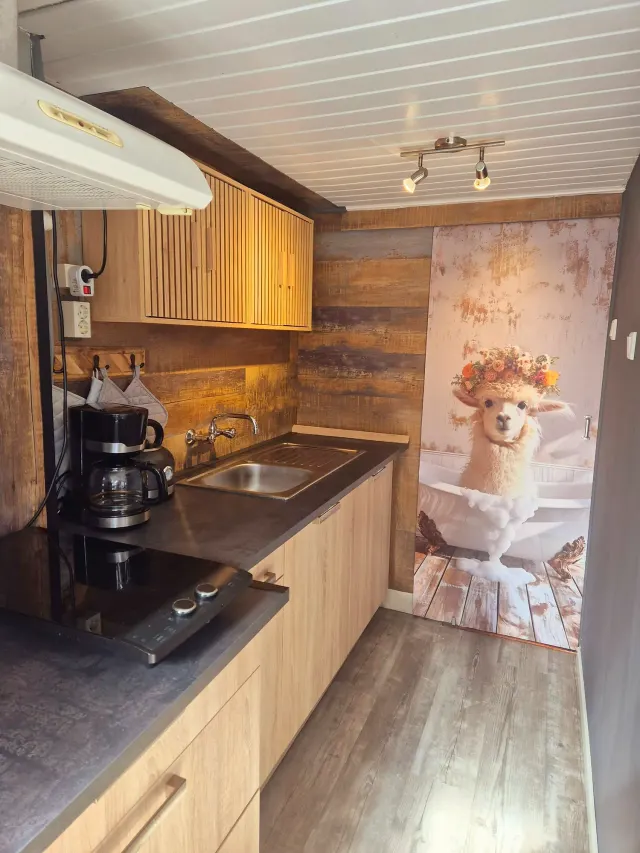 BookNoFees: Ferienwohnung in Domburg, Zeeland, Niederlande – Küche mit Holzschränken, Kaffeemaschine und einer Schiebetür mit einem Alpaka-Motiv