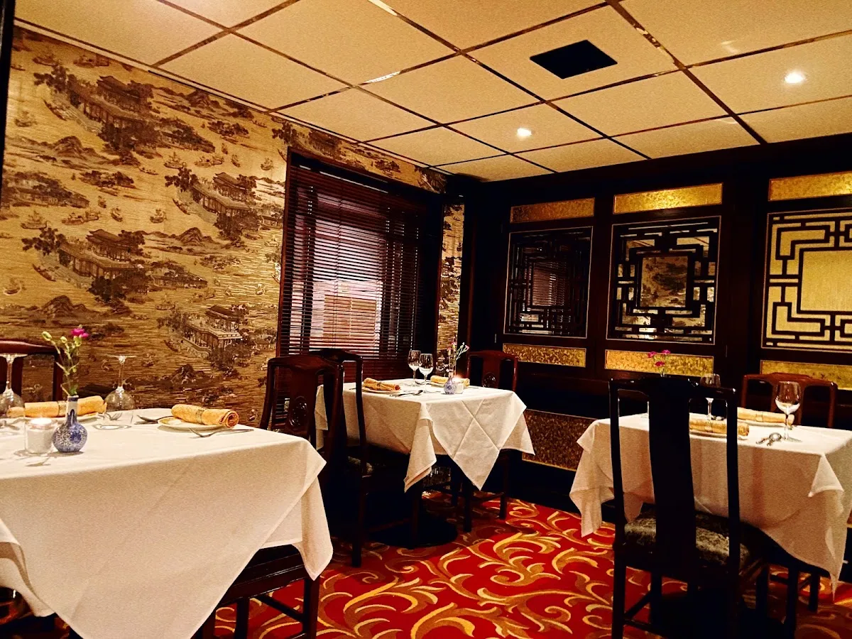 BookNoFees: Restaurant – Yang's – Dublin – Yangs, Foto 1