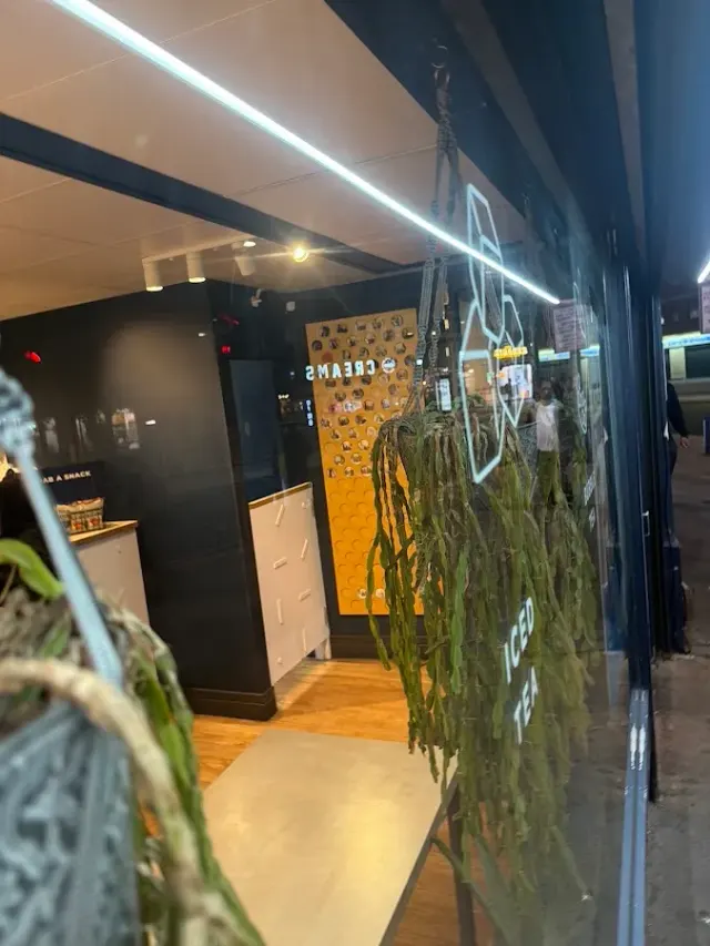 BookNoFees: Café – Cupp Bubble Tea – London – Cupp Bubble Tea, Foto 2
