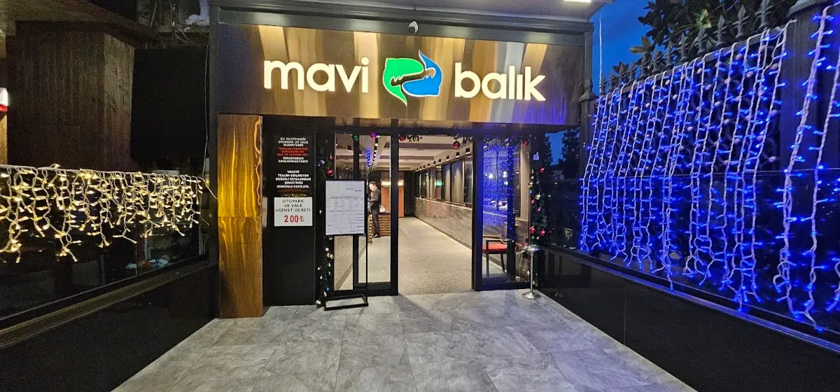 BookNoFees: Restaurant – Mavi Balık – Istanbul – Der blaue Fisch, Foto 1